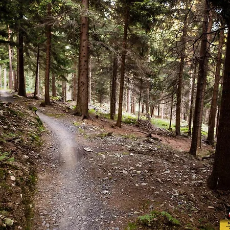 Monia Appartamento Świeradów-Zdrój