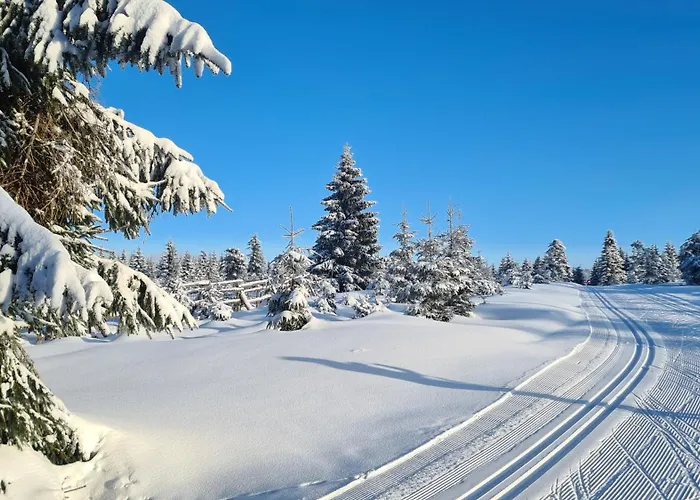 Monia 公寓 Świeradów-Zdrój