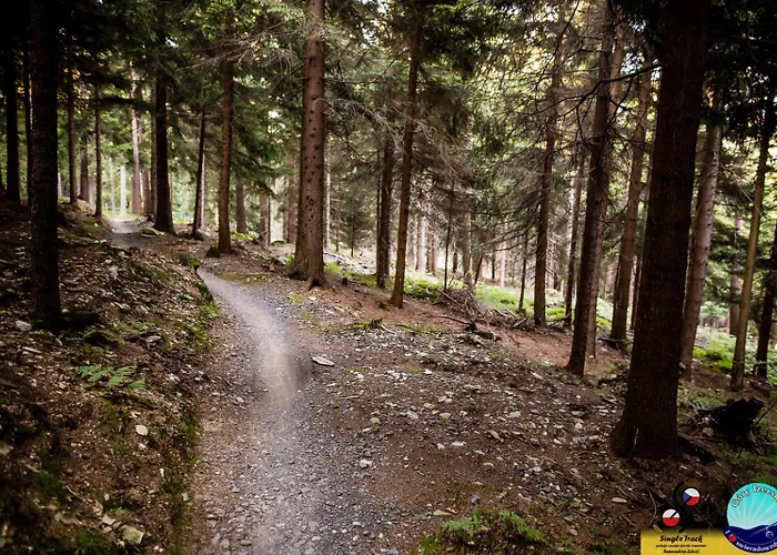 Monia 公寓 Świeradów-Zdrój